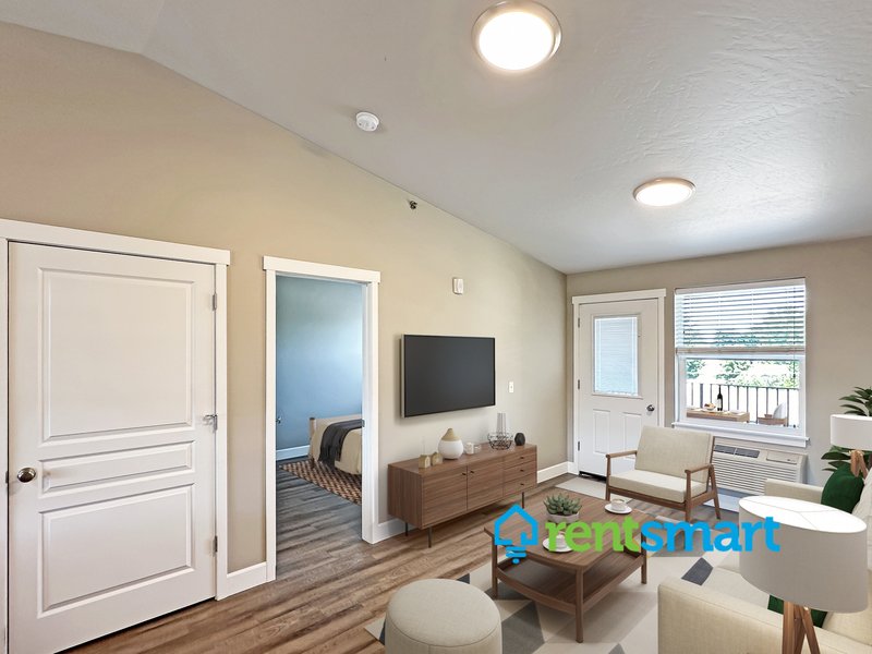 Luxury One Bedroom Apartment property image