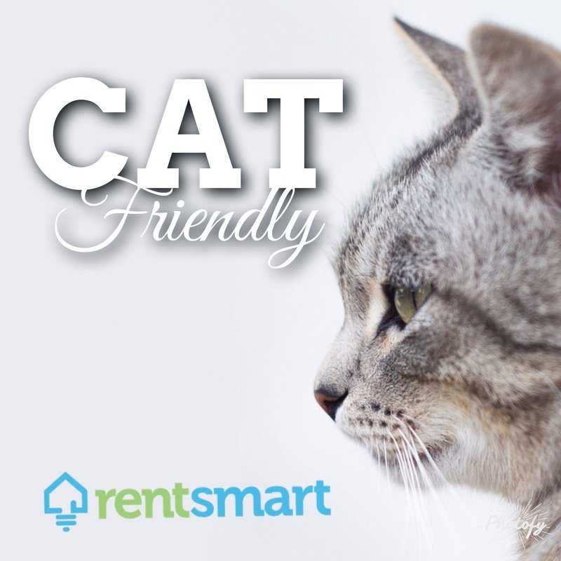 Luxury Ground Level Apartment - Pet Friendly! property image