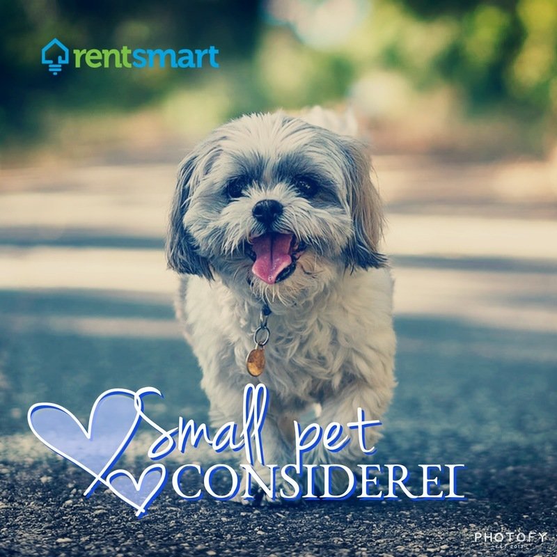 Pet Friendly 2 bed 2 bath Condo property image