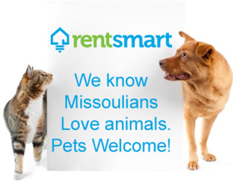 One of a kind single family home - pet friendly property image